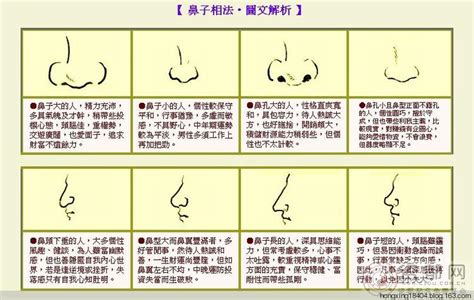 鼻孔形狀面相|面相入门